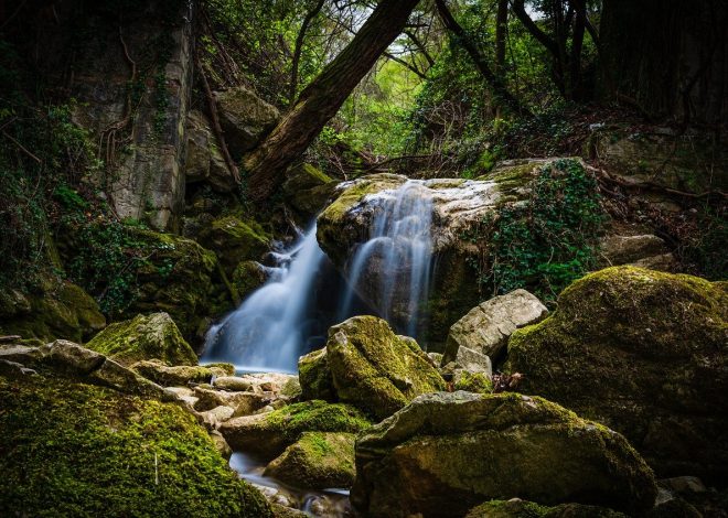 Les meilleurs moyens de partager des photos en ligne